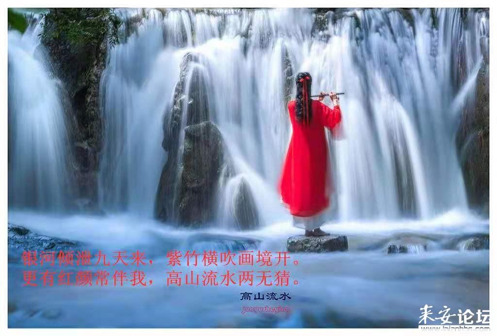 逗小猴开心系列193